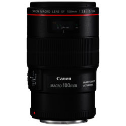 Canon EF 100mm f/2.8L IS USM Macro Lens